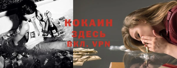 прущие грибы Алексин