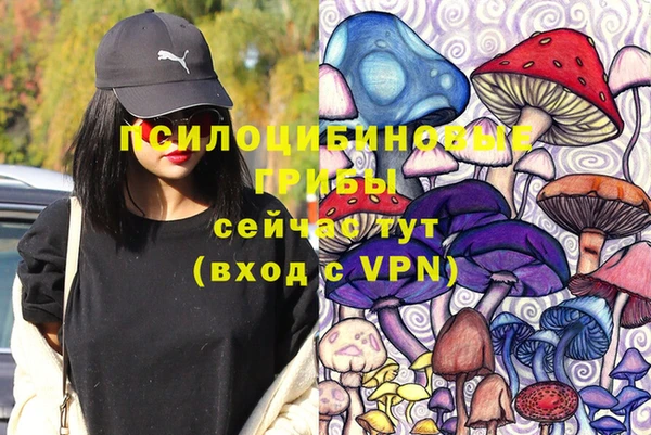 молекула духа Алексеевка