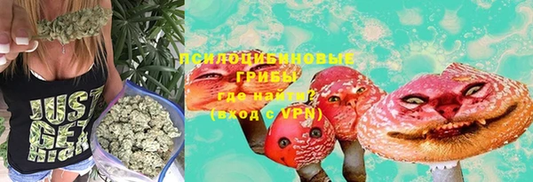 молекула духа Алексеевка