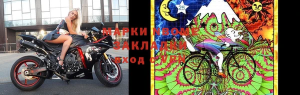 прущие грибы Алексин