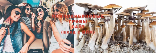 прущие грибы Алексин