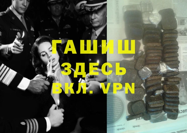 индика Кинешма